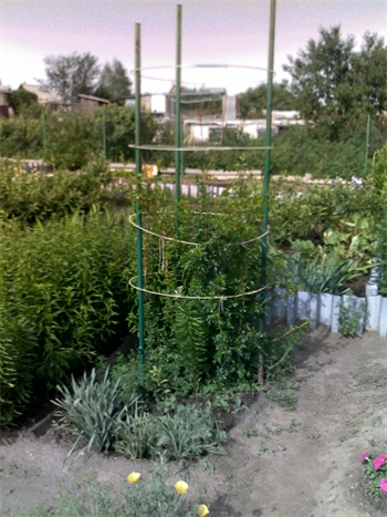 Изделия из стеклопластика для сада, огорода и сельского хозяйства в Новосибирске