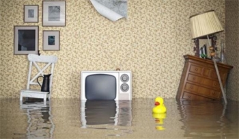 Услуги юриста по затоплению квартир в Москве