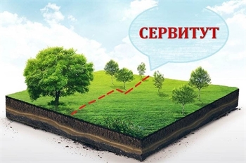 Услуги установления сервитута в Ростове-на-Дону